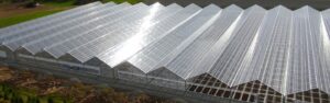 greenhouse plastic